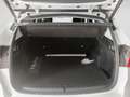 BMW X1 xDrive25eA Blanco - thumbnail 14