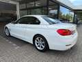 BMW 420 i Cabrio Navi Xenon Sportsitz Nackenwärmer Leder Blanc - thumbnail 5