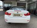 BMW 420 i Cabrio Navi Xenon Sportsitz Nackenwärmer Leder Blanc - thumbnail 3