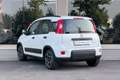 Fiat Panda Panda 1.0 firefly hybrid City Bianco - thumbnail 3