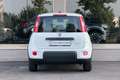Fiat Panda Panda 1.0 firefly hybrid City Bianco - thumbnail 4