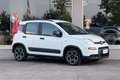 Fiat Panda Panda 1.0 firefly hybrid City Bianco - thumbnail 7