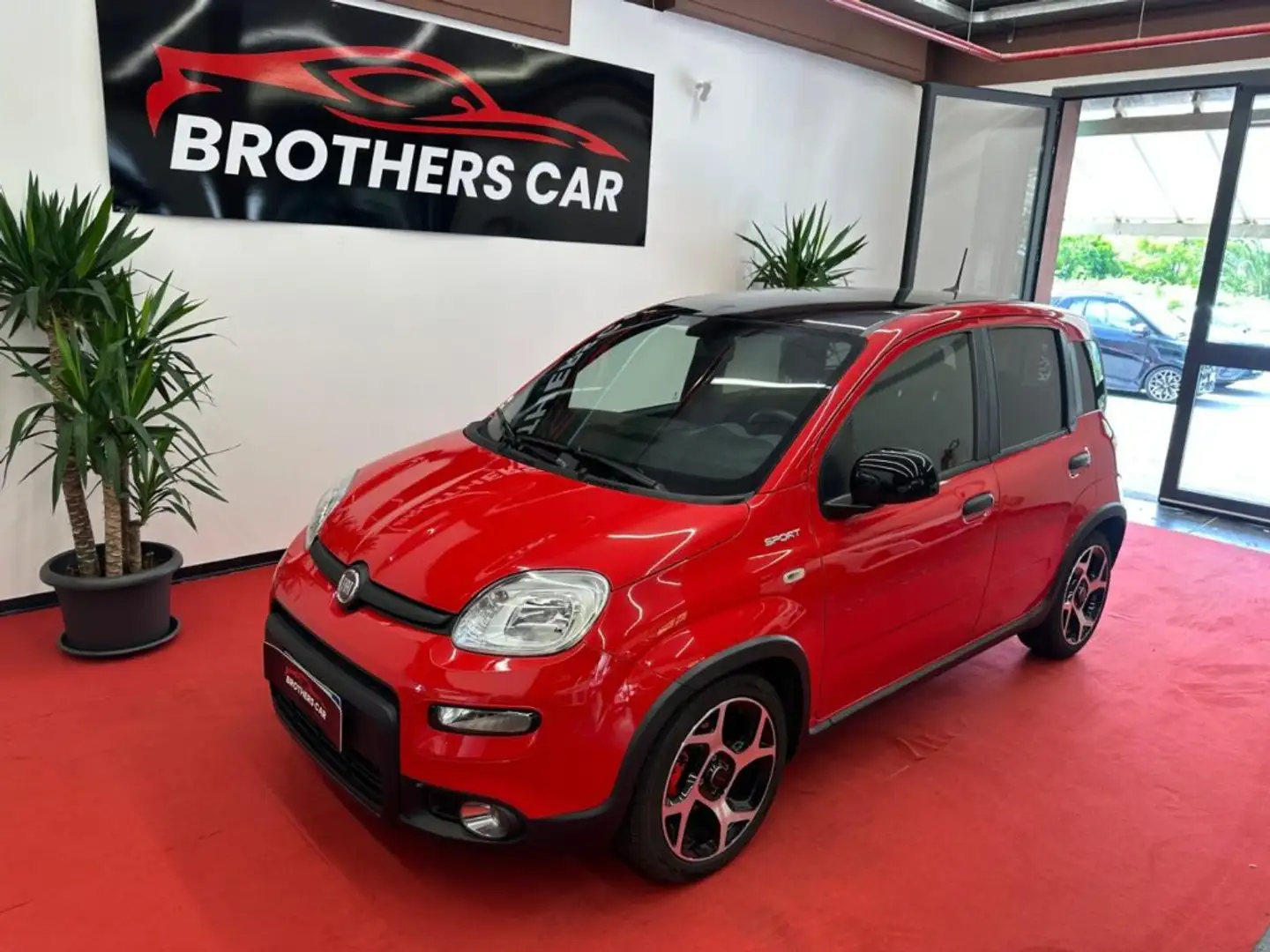 Fiat Panda 1.0 FireFly S&S Hybrid Sport Rosso - 1