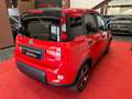 Fiat Panda 1.0 FireFly S&S Hybrid Sport Rosso - thumbnail 7