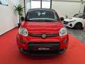 Fiat Panda 1.0 FireFly S&S Hybrid Sport Rosso - thumbnail 2