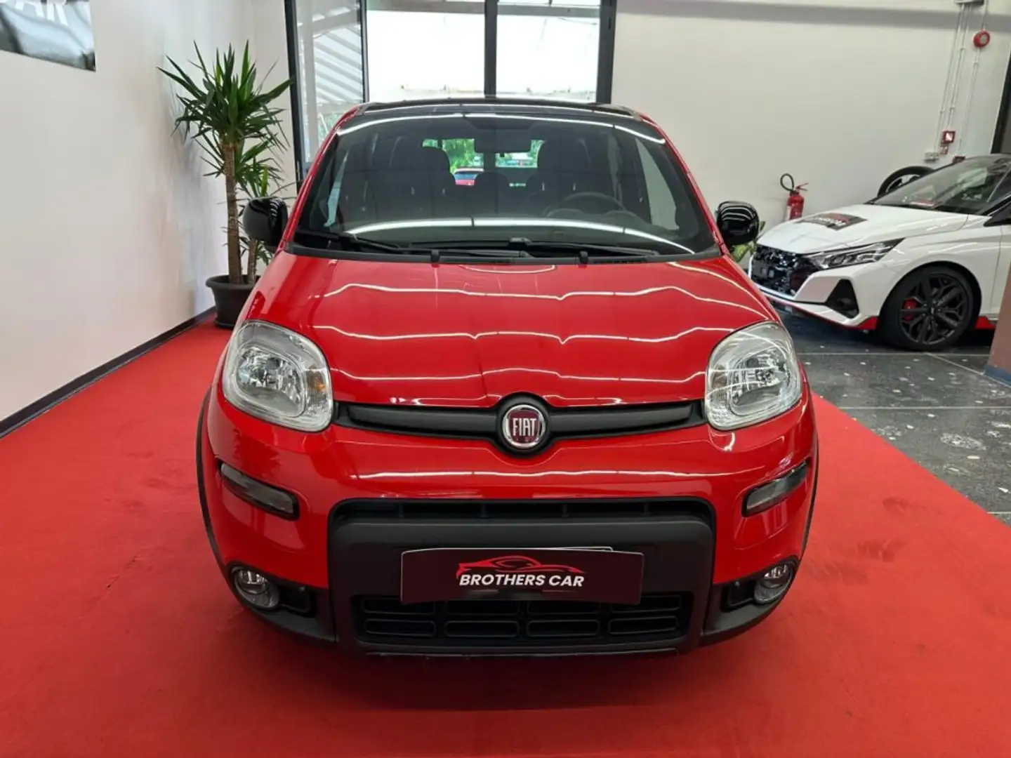 Fiat Panda 1.0 FireFly S&S Hybrid Sport Rosso - 2