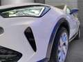 CUPRA Formentor 1.5 TSI 150 PS +PDC+KLIMA+ACC+ Weiß - thumbnail 10