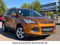 Ford Kuga Sync Edition*Allwetter*PDC* Braun - thumbnail 1