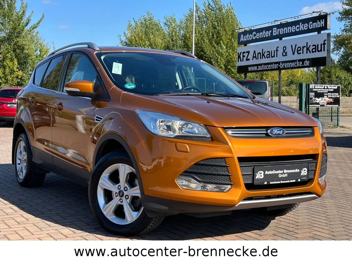 Ford Kuga Sync Edition*Allwetter*PDC* Braun - 1