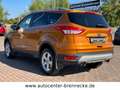 Ford Kuga Sync Edition*Allwetter*PDC* Braun - thumbnail 6