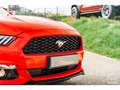 Ford Mustang Cabriolet Ecoboost 2.3 317 ch BVA6 - Pas de malus Rood - thumbnail 26