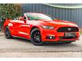 Ford Mustang Cabriolet Ecoboost 2.3 317 ch BVA6 - Pas de malus Rood - thumbnail 9