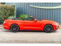 Ford Mustang Cabriolet Ecoboost 2.3 317 ch BVA6 - Pas de malus Rood - thumbnail 17