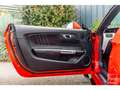Ford Mustang Cabriolet Ecoboost 2.3 317 ch BVA6 - Pas de malus Rood - thumbnail 30