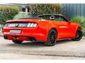 Ford Mustang Cabriolet Ecoboost 2.3 317 ch BVA6 - Pas de malus Rood - thumbnail 12