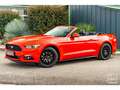 Ford Mustang Cabriolet Ecoboost 2.3 317 ch BVA6 - Pas de malus Rood - thumbnail 6