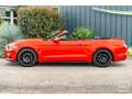 Ford Mustang Cabriolet Ecoboost 2.3 317 ch BVA6 - Pas de malus Rood - thumbnail 3