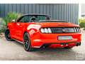 Ford Mustang Cabriolet Ecoboost 2.3 317 ch BVA6 - Pas de malus Rood - thumbnail 14