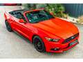 Ford Mustang Cabriolet Ecoboost 2.3 317 ch BVA6 - Pas de malus Rood - thumbnail 24