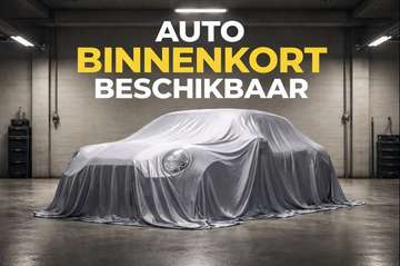 Mini Aceman SE Classic Trim