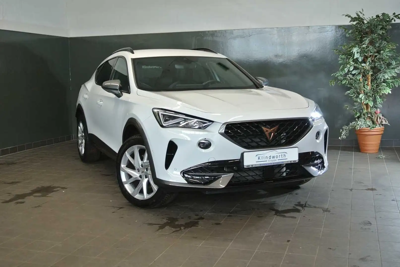 CUPRA Formentor 1.5 TSI DSG +AHK+GJR+XL-Paket Weiß - 2
