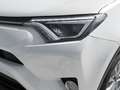 Toyota RAV4 2.5 hybrid 2WD Advance Plus Blanco - thumbnail 26