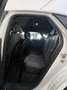 Audi Q5 Q5 SPB 40 TDI quattro S tronic S line Bianco - thumbnail 14