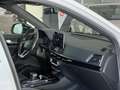 Audi Q5 Q5 SPB 40 TDI quattro S tronic S line Bianco - thumbnail 10