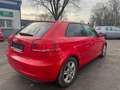 Audi A3 1.6 S-LINE/NAVI/KLIMAAUT/ALU/SERVICE-NEU! Rot - thumbnail 6