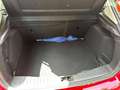 Ford Focus 1.6 Ecoboost S&S Titanium 180 Rouge - thumbnail 11