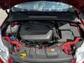 Ford Focus 1.6 Ecoboost S&S Titanium 180 Rouge - thumbnail 12