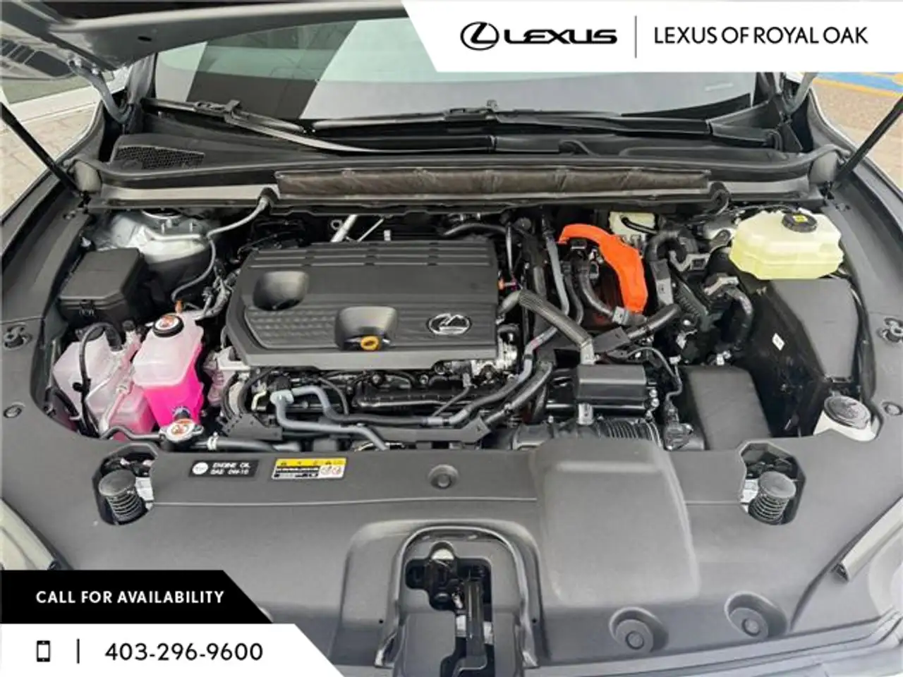 Lexus RX снимка Lexus RX