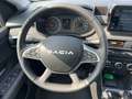 Dacia Jogger Extreme ECO-G 100 5-Sitzer FLÜSSIGGAS Grün - thumbnail 9