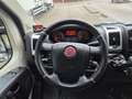 Fiat Ducato 2.3D L2H2 Koelwagen/ Carrier Xarios 300/ Standby 2 Wit - thumbnail 9