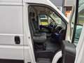 Fiat Ducato 2.3D L2H2 Koelwagen/ Carrier Xarios 300/ Standby 2 Wit - thumbnail 13