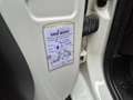 Fiat Ducato 2.3D L2H2 Koelwagen/ Carrier Xarios 300/ Standby 2 Wit - thumbnail 19
