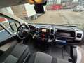 Fiat Ducato 2.3D L2H2 Koelwagen/ Carrier Xarios 300/ Standby 2 Wit - thumbnail 11