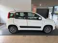 Fiat Panda FiatPandaLounge1,28V Weiß - thumbnail 4