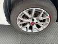 Fiat Panda FiatPandaLounge1,28V Weiß - thumbnail 16