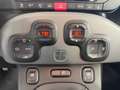 Fiat Panda FiatPandaLounge1,28V Weiß - thumbnail 14