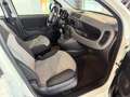 Fiat Panda FiatPandaLounge1,28V Weiß - thumbnail 8