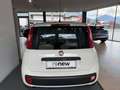 Fiat Panda FiatPandaLounge1,28V Weiß - thumbnail 5