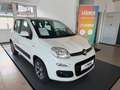 Fiat Panda FiatPandaLounge1,28V Weiß - thumbnail 1