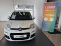 Fiat Panda FiatPandaLounge1,28V Weiß - thumbnail 2