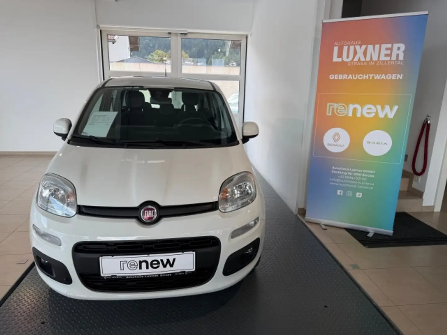 Fiat Panda FiatPandaLounge1,28V Weiß - 2