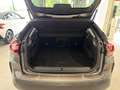 Citroen C4 BlueHDI 130 S&S Shine Edition EAT8 Aut. Grau - thumbnail 7