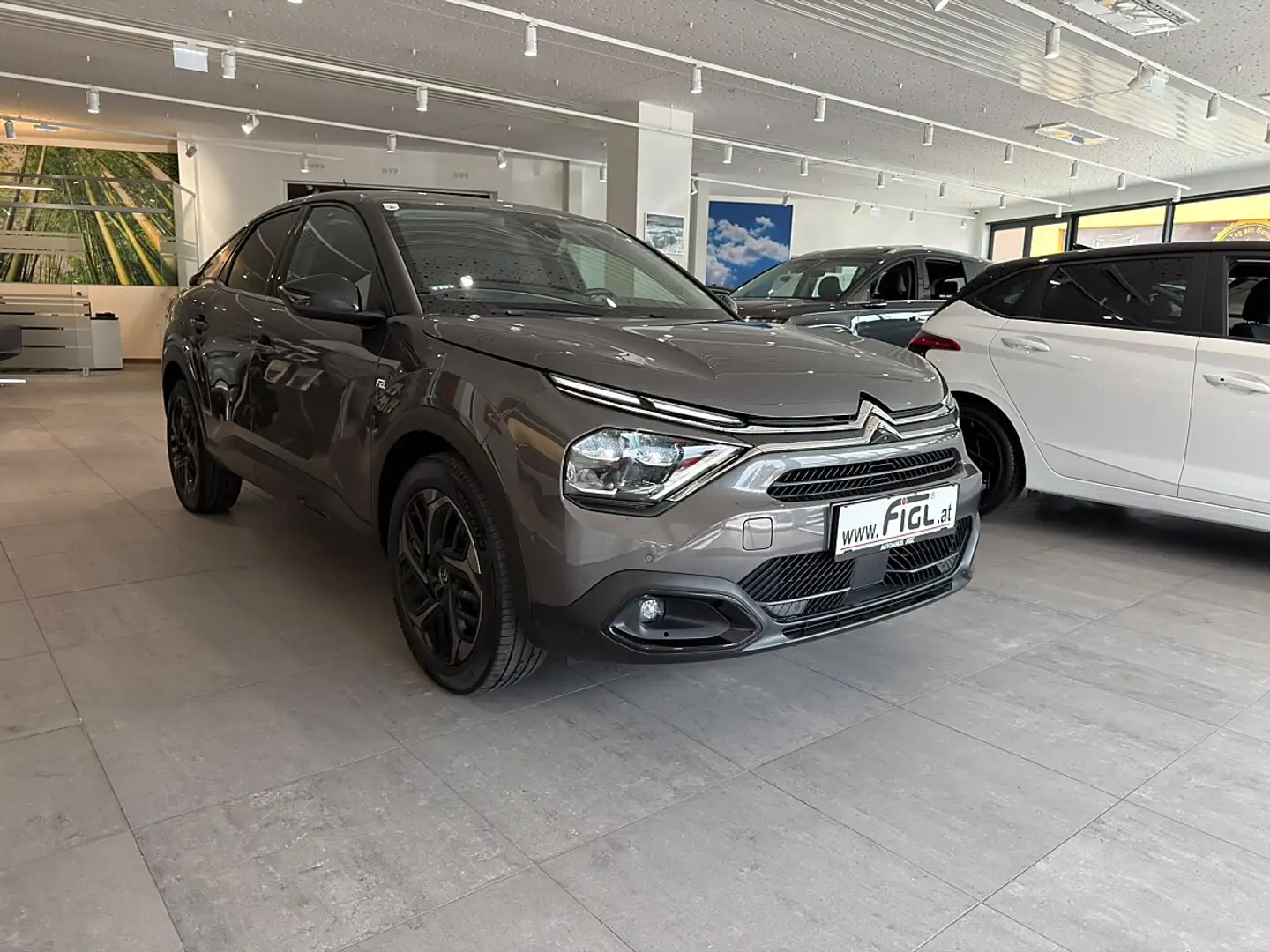 Citroen C4 BlueHDI 130 S&S Shine Edition EAT8 Aut. Grau - 2