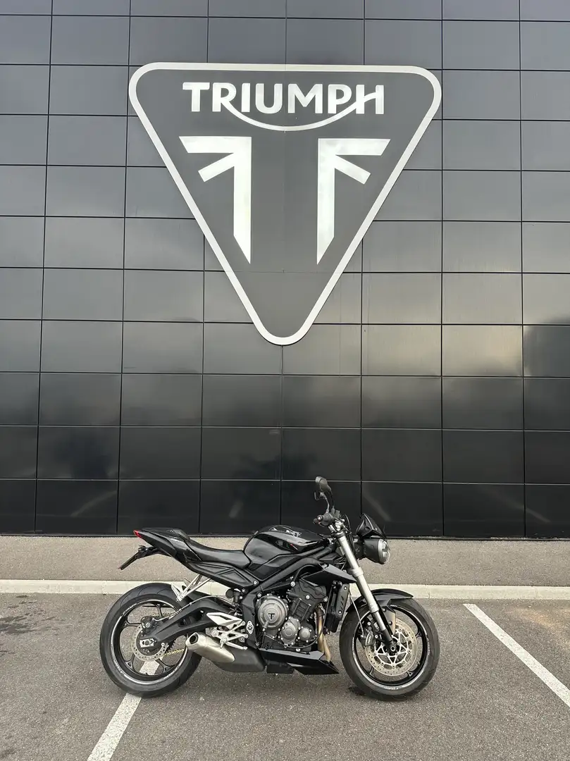 Triumph Noir - 2