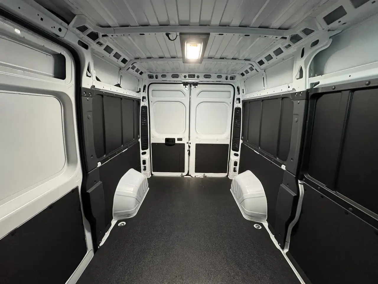 RAM Promaster снимка RAM Promaster