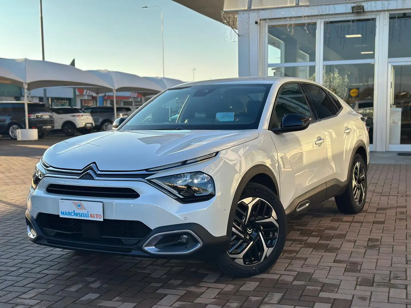 Citroen C4 X 1.5 bluehdi Shine Bianco - 1